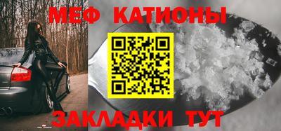 стаф Кинель
