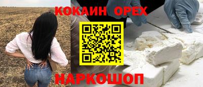 круглые Кингисепп