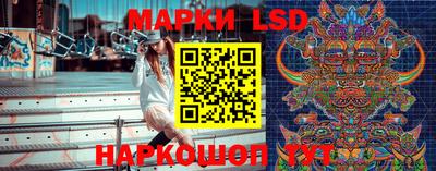 стаф Кинель