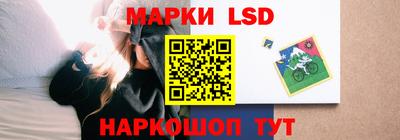 стаф Кинель