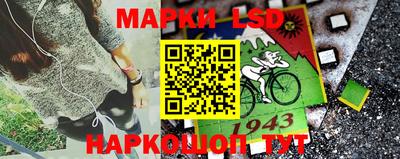 круглые Кингисепп