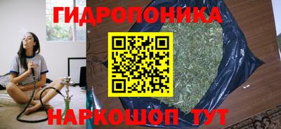 круглые Кингисепп