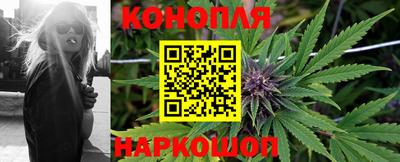 круглые Кингисепп