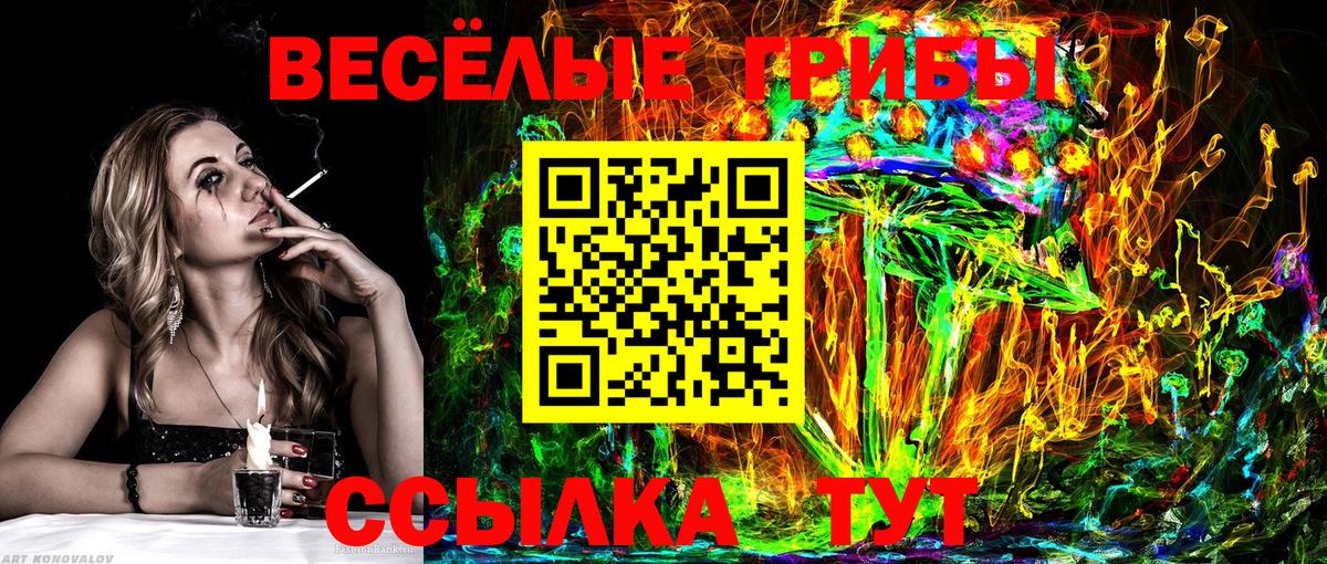 Галлюциногенные грибы Psilocybine cubensis  Псилоцибиновые грибы мухоморы  Вичуга  даркнет сайт  Вход с VPN 