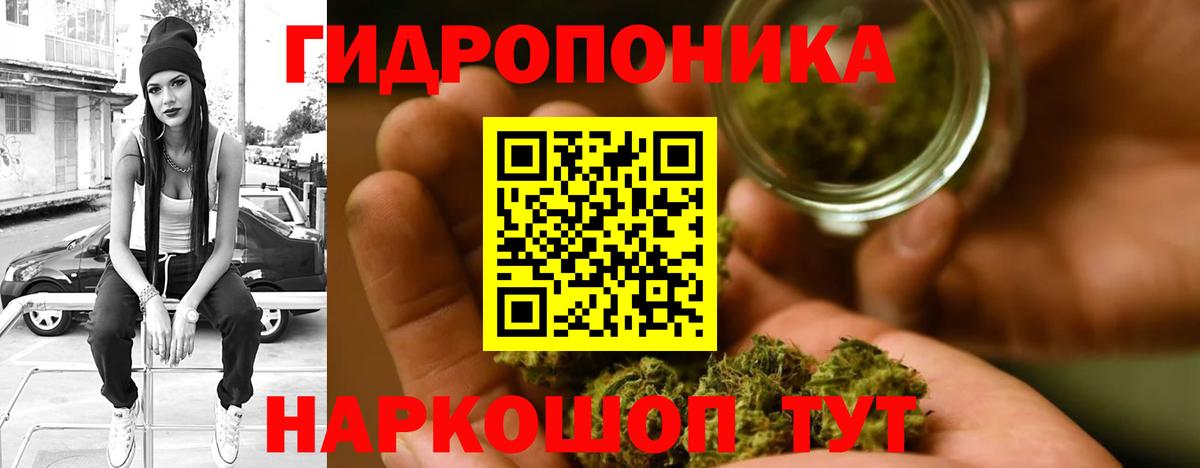 Каннабис сатива Вичуга